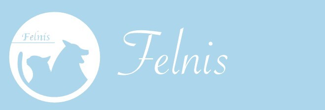 株式会社Ｆｅｌｎｉｓ